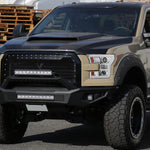Spec-D 15-17 Ford F150 Projector Headlights Chrome Halogen