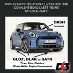 DASH - Permanent Interior Protectant & Dash Repair, Low-Glare Dry Seal & UV Block for Car Dash, Plastics, Coated Leather, Vinyl (1.2 oz per auto)