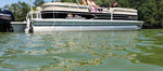 Toonshine Ready to Use Pontoon Cleaner