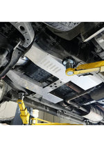 Nissan NV3500 RWD 2012-2021 Cat Shield
